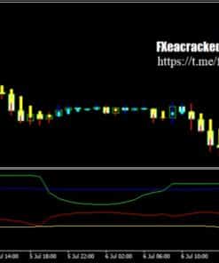 Professional System indicator